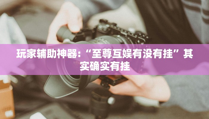 玩家辅助神器:“至尊互娱有没有挂”其实确实有挂