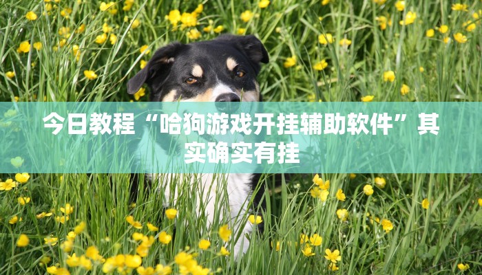 辅助神器“微乐广东麻将原来真的有挂”开挂步骤方法 辅助神器“微乐广东麻将原来真的有挂”开挂步骤方法