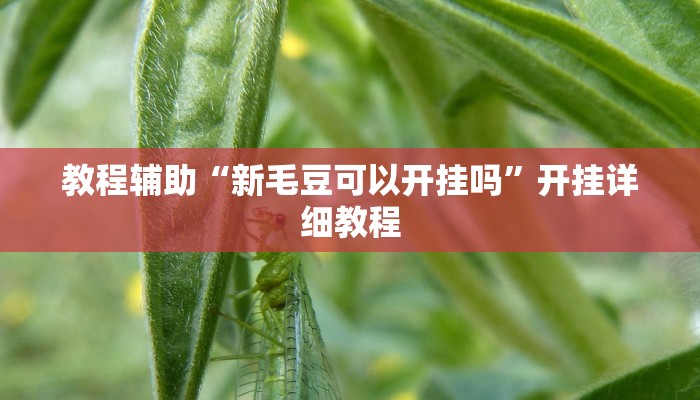 教程辅助“新毛豆可以开挂吗”开挂详细教程 教程辅助“新毛豆可以开挂吗”开挂详细教程