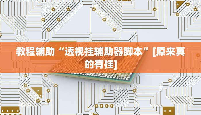 教程辅助“透视挂辅助器脚本”[原来真的有挂]