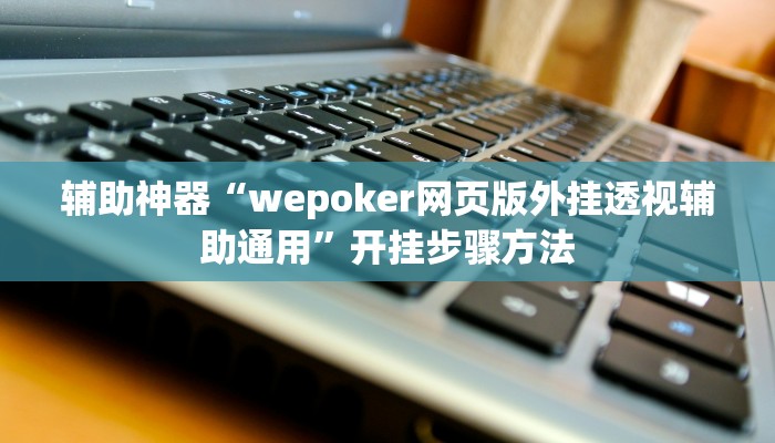 辅助神器“wepoker网页版外挂透视辅助通用”开挂步骤方法