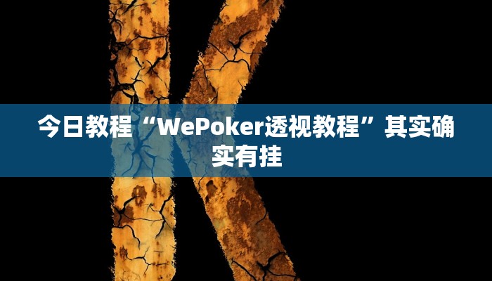 今日教程“WePoker透视教程”其实确实有挂 今日教程“WePoker透视教程”其实确实有挂