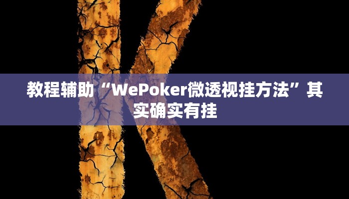 教程辅助“WePoker微透视挂方法”其实确实有挂 教程辅助“WePoker微透视挂方法”其实确实有挂