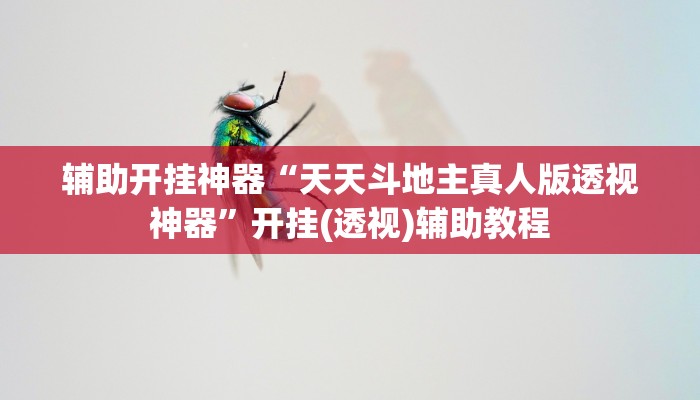 辅助开挂神器“天天斗地主真人版透视神器”开挂(透视)辅助教程 辅助开挂神器“天天斗地主真人版透视神器”开挂(透视)辅助教程